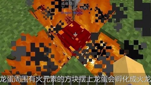 我的世界手机版末影龙蛋怎么孵化