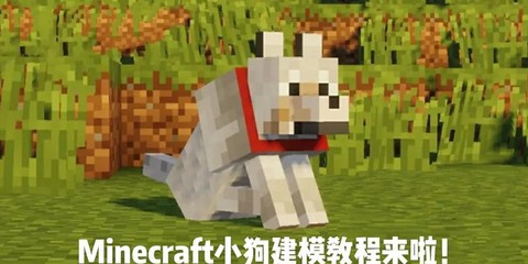 我的世界如何让狗变色[图1]