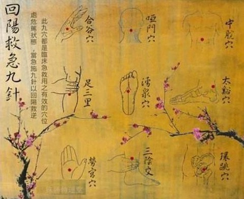 九阴真经体力怎么恢复[图2]